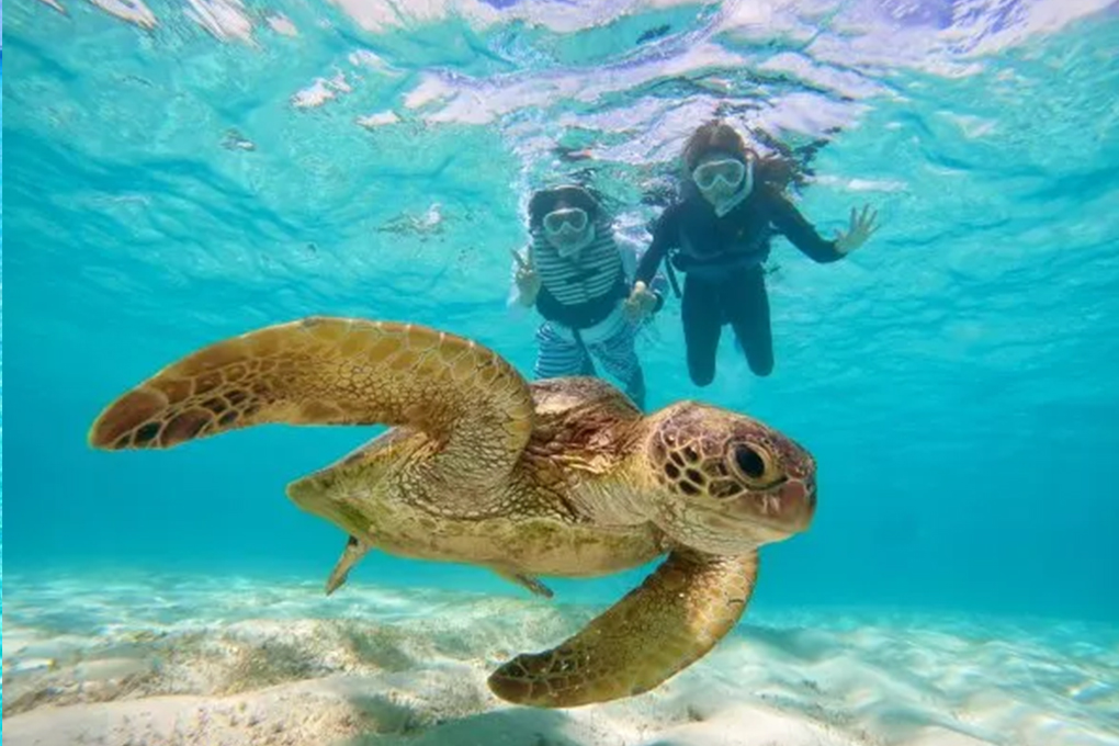 宮古島マリンCheerful02