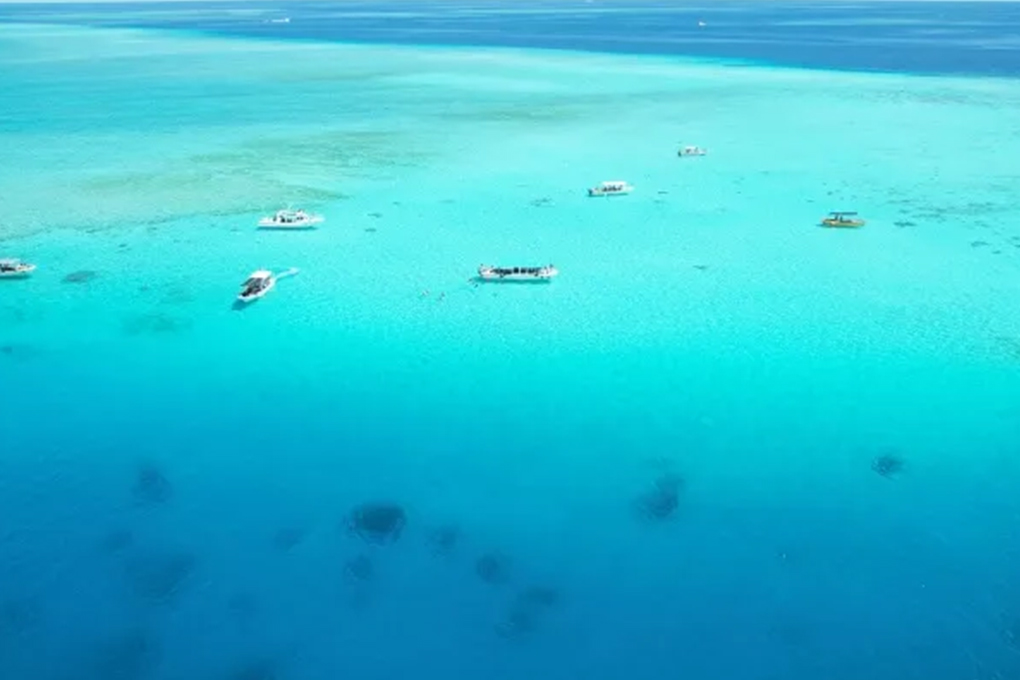 宮古島マリンCheerful05